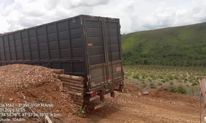 Polícia Militar de Meio Ambiente apreende carga irregular de madeira em Santa Rita do Ibitipoca