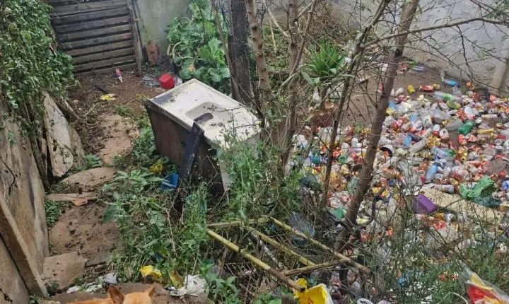 Polícia prende homem em flagrante por crimes contra animais em Carandaí, Minas Gerais