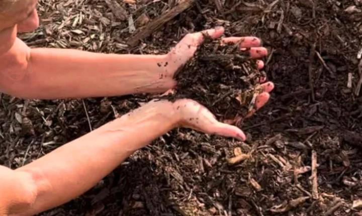 Prefeitura de Juiz de Fora celebra sucesso do Programa Terra Boa com 12 toneladas de composto orgânico entregues