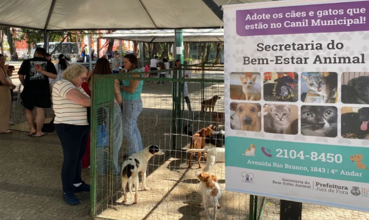 Prefeitura de Juiz de Fora promove evento de adoção no Parque Halfeld neste sábado