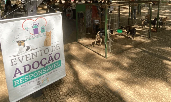 Prefeitura promove campanha de adoção de cães e gatos neste sábado no Parque Halfeld