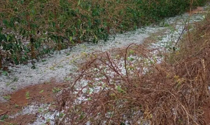 Seguro rural e chuvas: saiba como comprovar perdas na lavoura