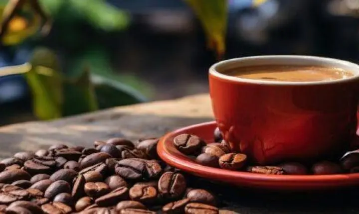 Produção de café em Minas deve crescer 32,5% e abrir espaço para novos consumidores
