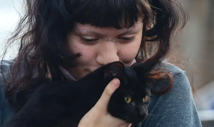 Prefeitura de São Paulo oferece castração gratuita para cães e gatos