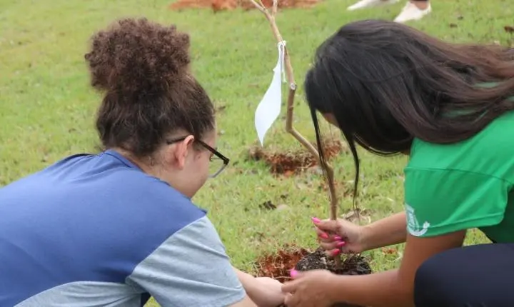 Programa Jovens Mineiros Sustentáveis conclui plantio de 120 bosques e 13 mil mudas em Minas Gerais