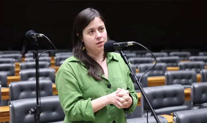 Câmara dos Deputados analisa projeto que restringe acesso a armas de fogo para quem possui medidas protetivas de urgência