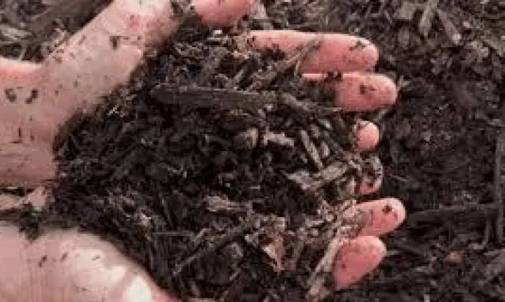 Projeto Terra Boa completa um ano com quase 30 toneladas de adubo distribuídas