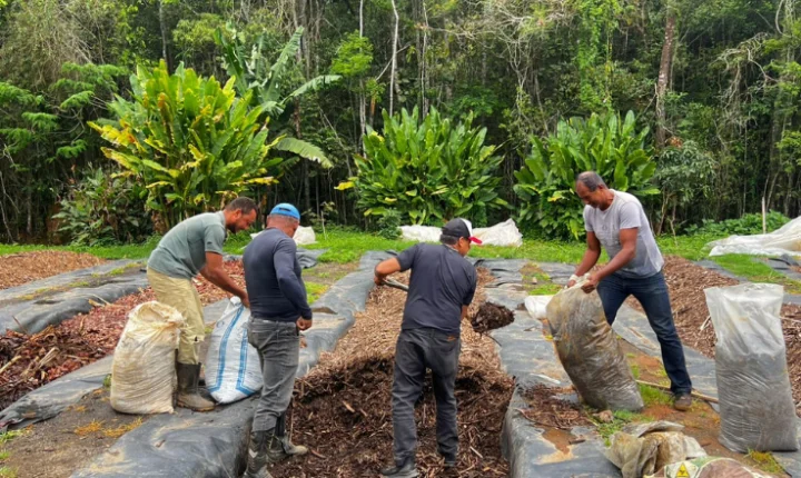 Projeto Terra Boa realiza nova entrega gratuita de composto orgânico em Juiz de Fora