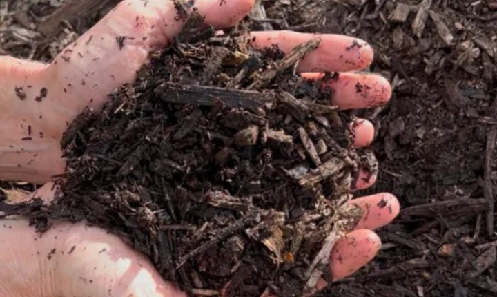 Projeto Terra Boa Tem Inscrições Abertas para Distribuição Gratuita de Composto Orgânico