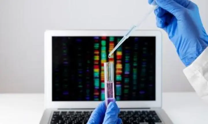 Projeto vai oferecer teste genético gratuito para casais que planejam ter filhos