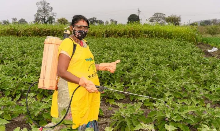 Quanto Tempo Dura o Efeito do Mata Mato? O Relógio Invisível do Controle das Plantas Daninhas