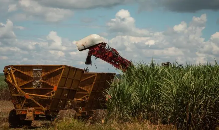 Aumento na safra de cana impulsiona a oferta de etanol no mercado