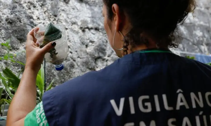 São Paulo registra mais de 58 mil casos de dengue em 2024
