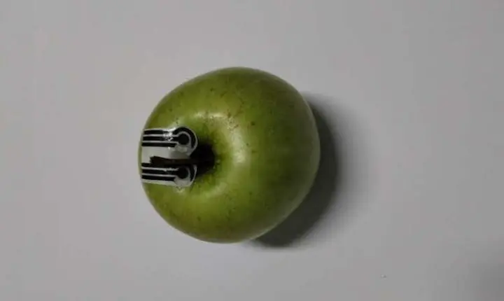 Sensores biodegradáveis acoplados em plantas detectam pesticidas em três minutos