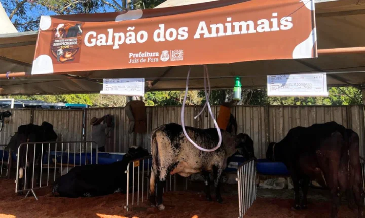 Torneio Leiteiro de Paula Lima retorna ao circuito agropecuário após duas décadas em Juiz de Fora