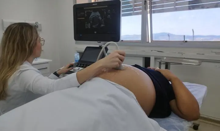 Toxoplasmose na gestação exige cuidados preventivos e pré-natal rigoroso em Minas Gerais