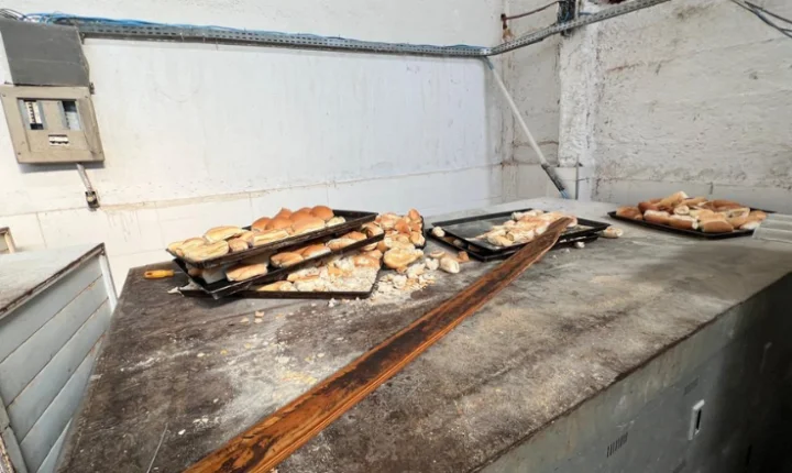 Vigilância Sanitária interdita fábrica de pães por graves irregularidades em Juiz de Fora