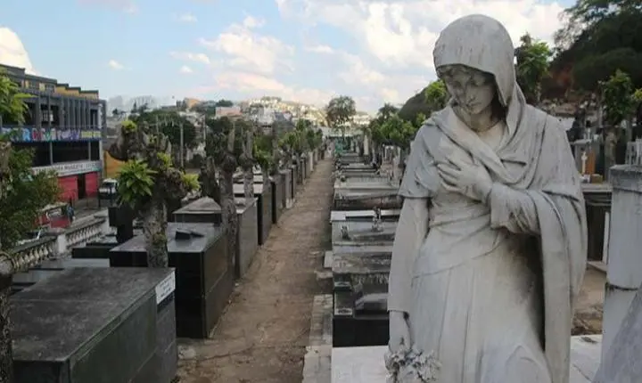 Visita mediada gratuita explora a natureza no Parque do Museu Mariano Procópio em Juiz de Fora