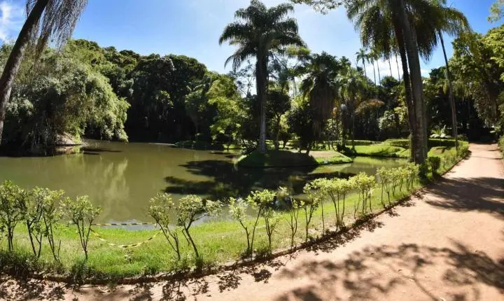 Visita mediada gratuita explora a natureza no Parque do Museu Mariano Procópio em Juiz de Fora