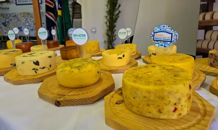 Diamantina recebe julgamento dos finalistas de concurso de queijos