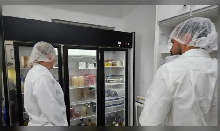 Fundo estadual financia projetos para alimentos e bebidas mais seguros em Minas